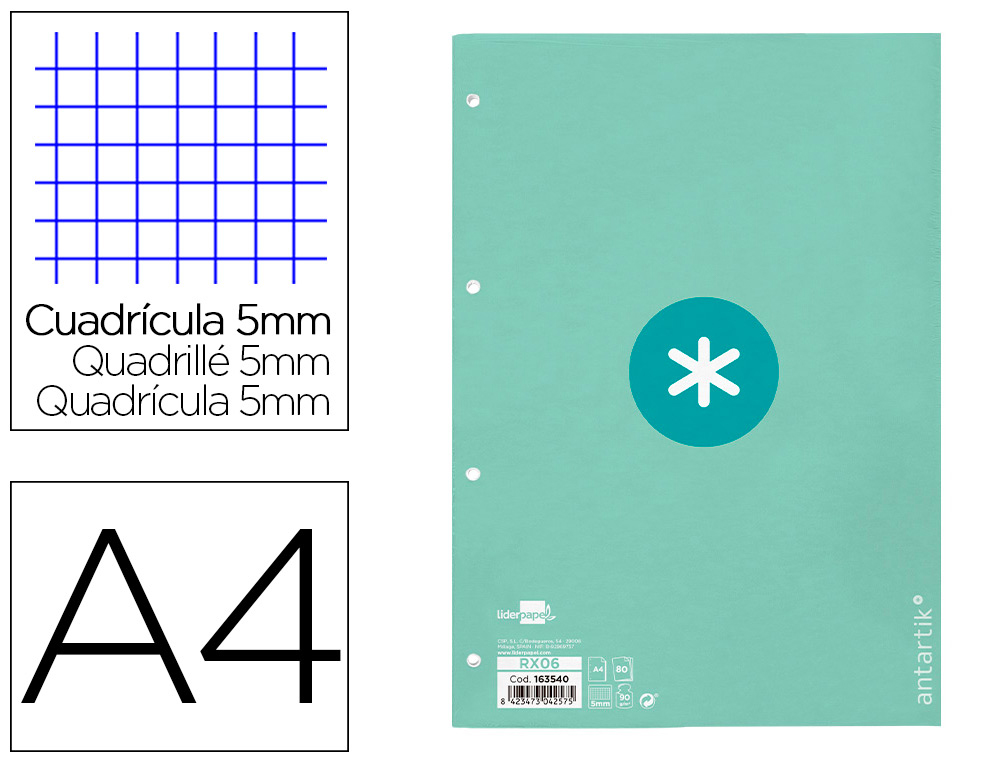 FEUILLET MOBILE ANTARTIK A4 80FEUILLES 90G QUADRILLAGE 5MM  4 TROUS BORD COLORIS MENTHE