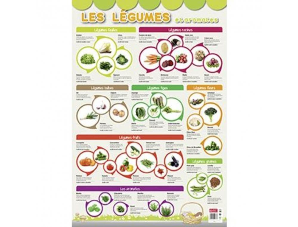 POSTERS SOUPLES BOUCHUT LES LEGUMES SUPPORTS LUDIQUES     MATERIAU SOUPLE 150G 52X76 CM