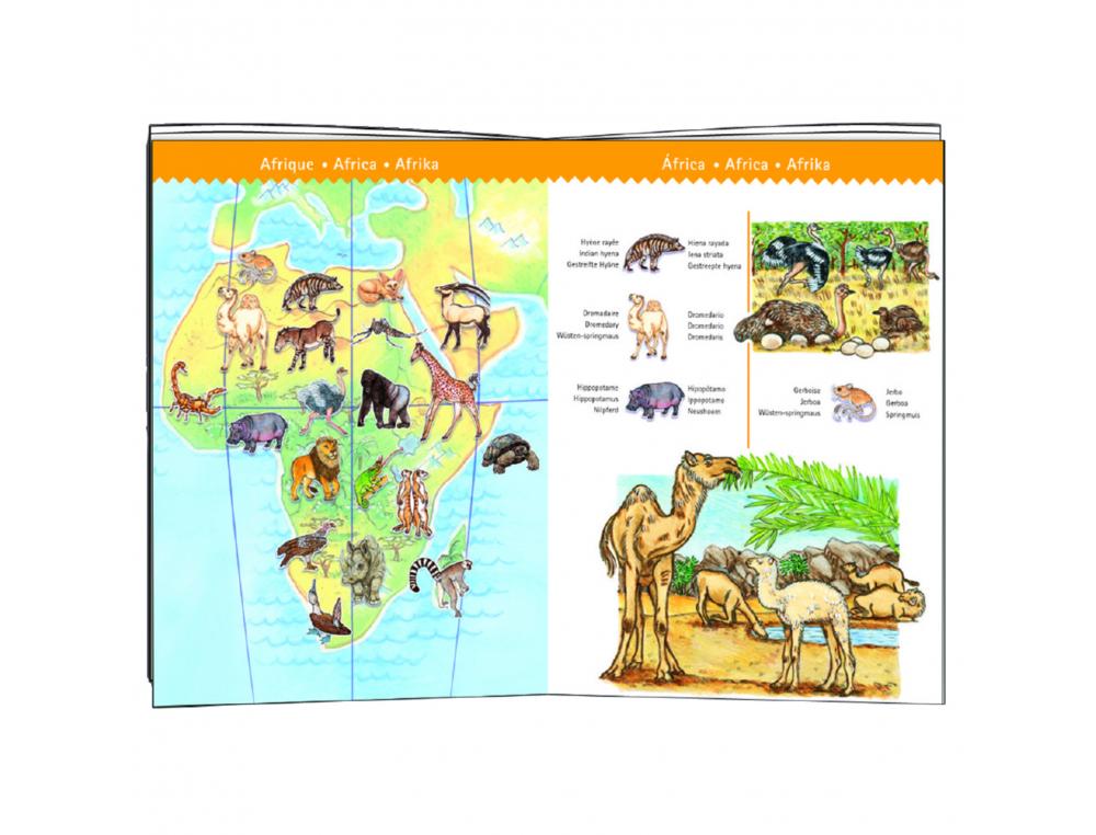 PUZZLE INTERDACTA ANIMAUX DU MONDE 100 PCS 61X35CM + 1     LIVRET + 1 POSTER