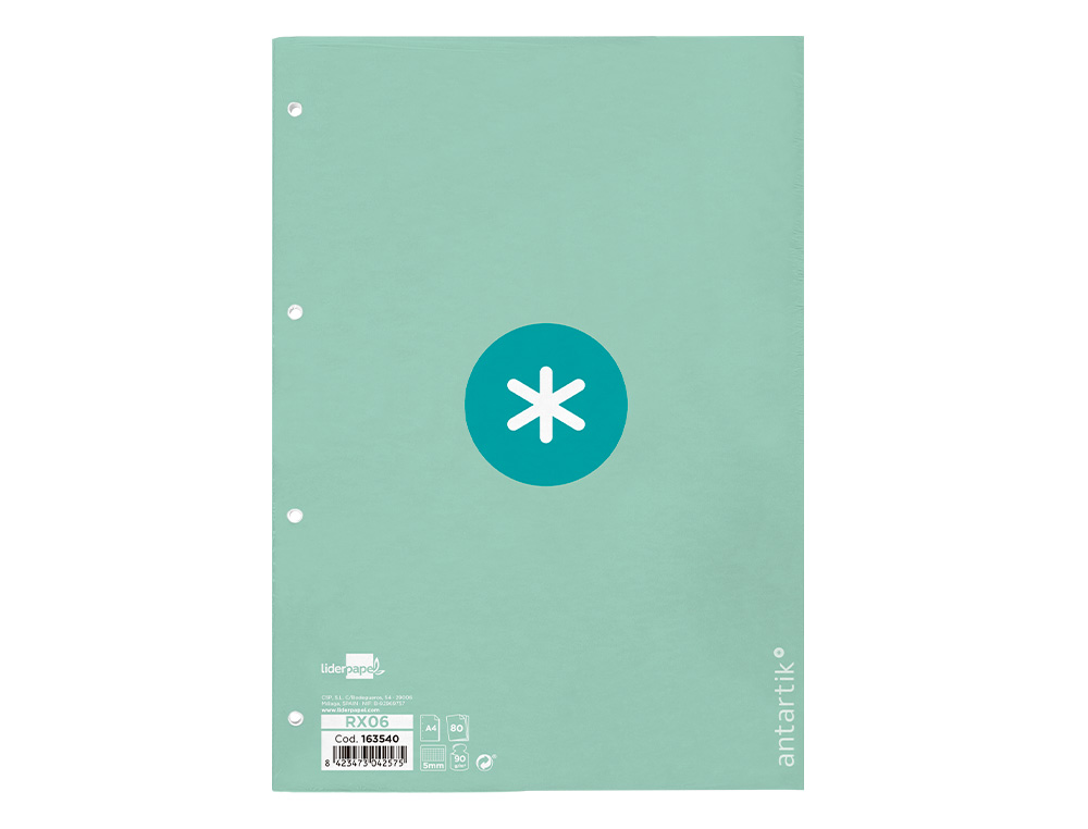FEUILLET MOBILE ANTARTIK A4 80FEUILLES 90G QUADRILLAGE 5MM  4 TROUS BORD COLORIS MENTHE