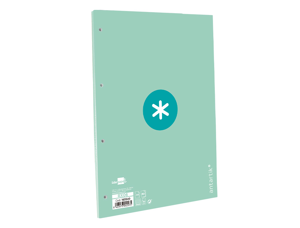 FEUILLET MOBILE ANTARTIK A4 80FEUILLES 90G QUADRILLAGE 5MM  4 TROUS BORD COLORIS MENTHE