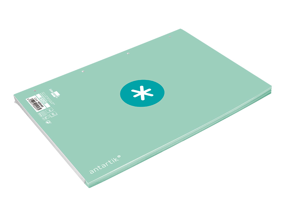 FEUILLET MOBILE ANTARTIK A4 80FEUILLES 90G QUADRILLAGE 5MM  4 TROUS BORD COLORIS MENTHE