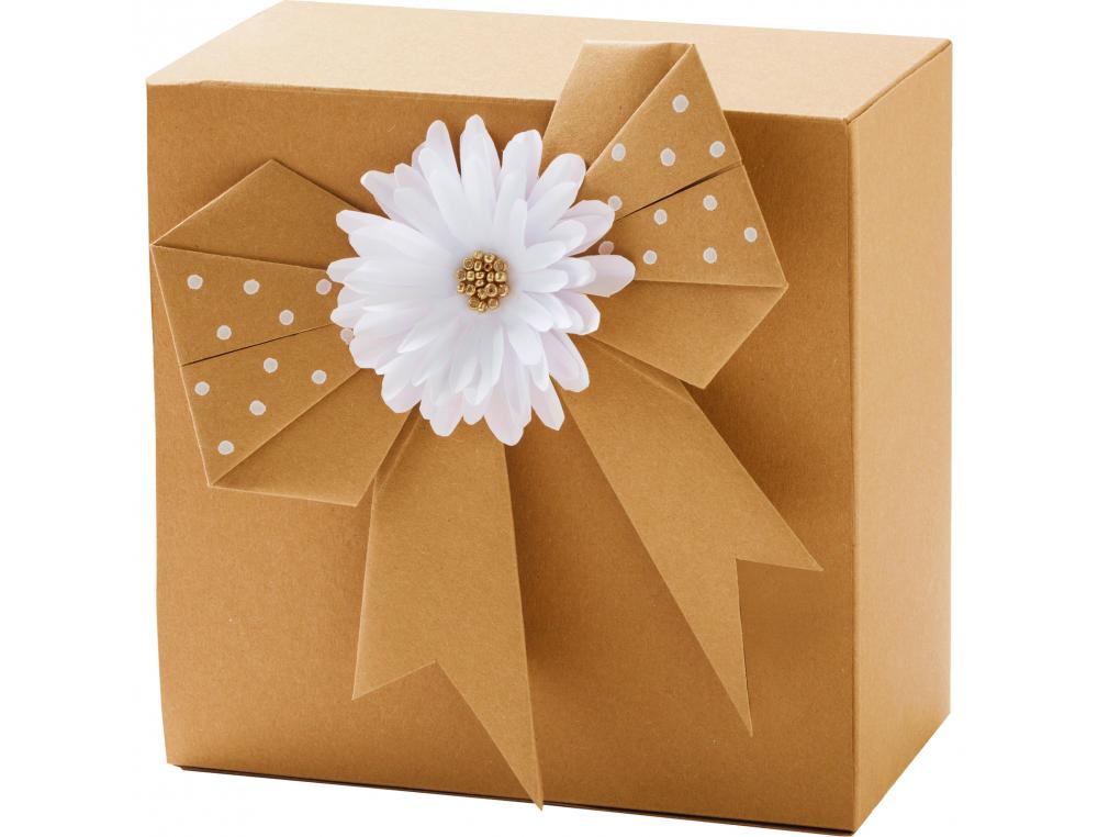 CARTON KRAFT FOLIA 21X 29CM 230G 50 FEUILLES