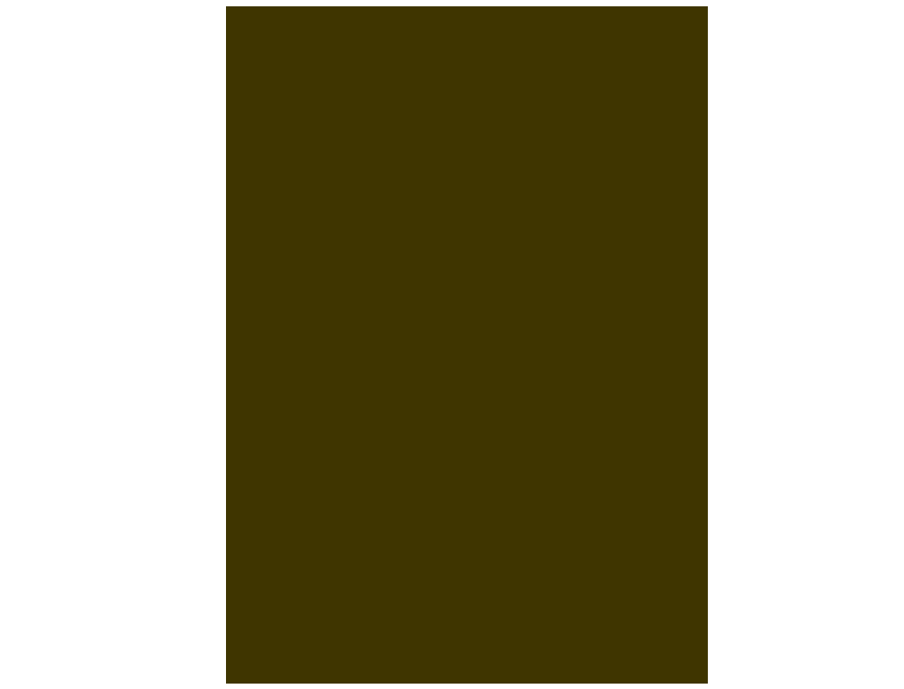 PAPIER CARTONNE LIDERPAPEL 50X65CM 240GR COLORIS MARRON CLAIR