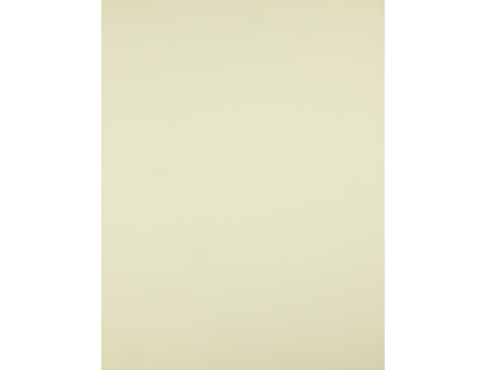 PAPIER CARTONNE LIDERPAPEL 50X65CM 180GR COLORIS JAUNE PAQUET 25 FEUILLES