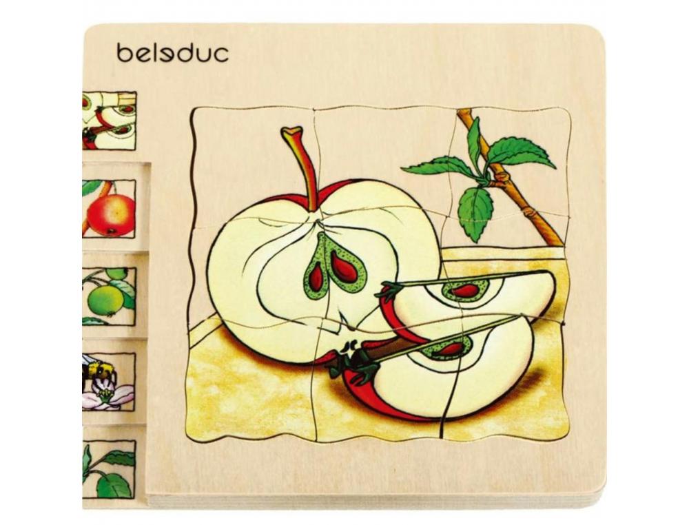 PUZZLES EVOLUTIFS BELEDUC LE DEVELOPPEMENT DE LA POMME EN  DIFFERENTES ETAPES 30 PIECES  ET 1 SUPPORT BOIS
